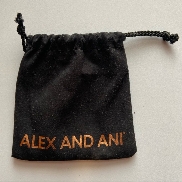 NWT Alex and Ani Graduation Cap Charm Bracelet - 2016 Silver Tone - Picture 4 of 5